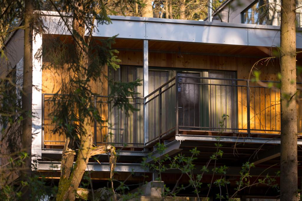 Baumhaus Lodge Schrems Schrems  Rum bild