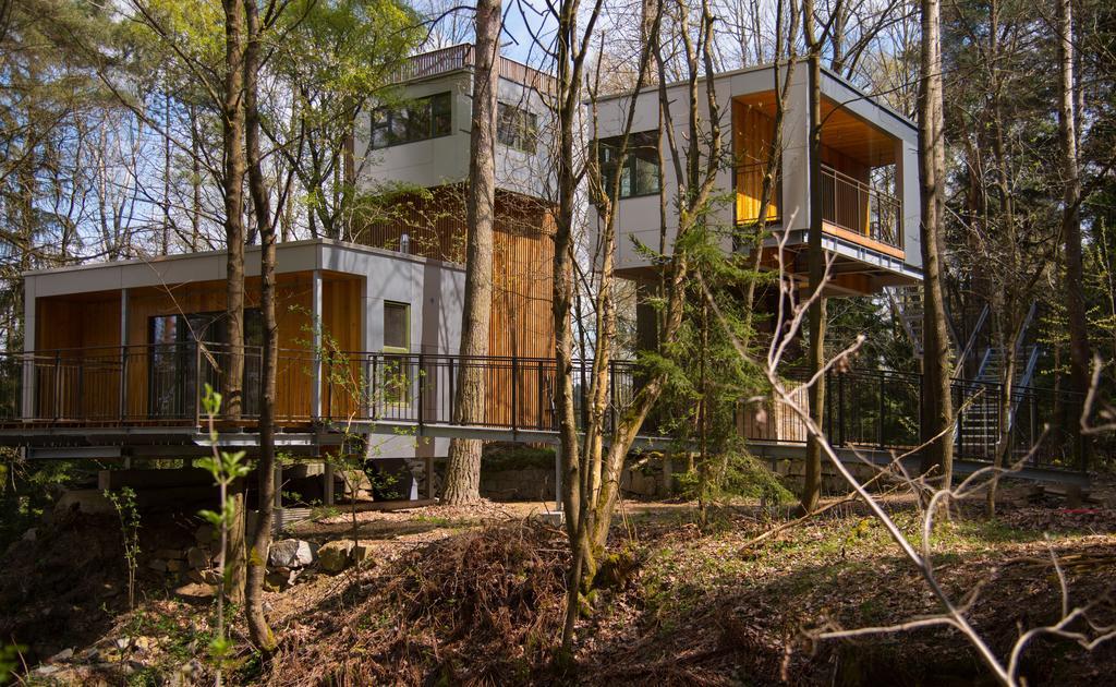 Baumhaus Lodge Schrems Schrems  Exteriör bild